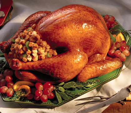 Thanksgiving Oven Bag Turkey