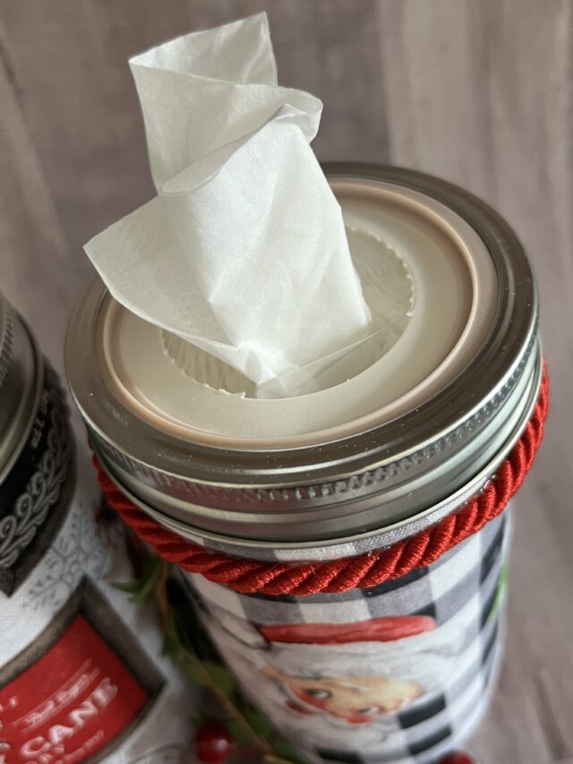 Mason Jar Tissue Dispensers Learn How to Make CATHIE FILIAN's